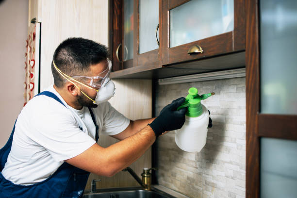 Best Pest Removal Services  in Fort Gibson, OK