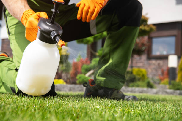 Wildlife Control Services in Fort Gibson, OK