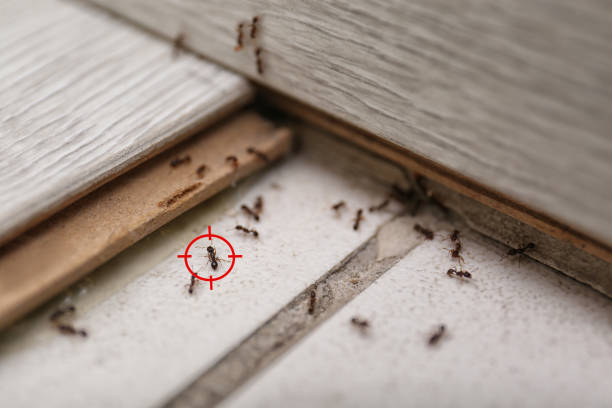 Fort Gibson, OK Pest Control Company