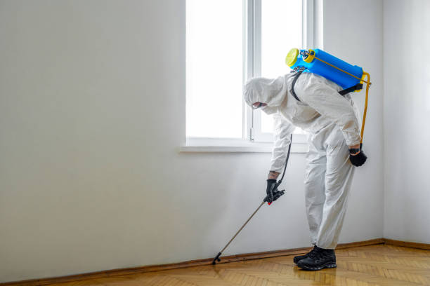 Best Best Pest Control Companies  in Fort Gibson, OK