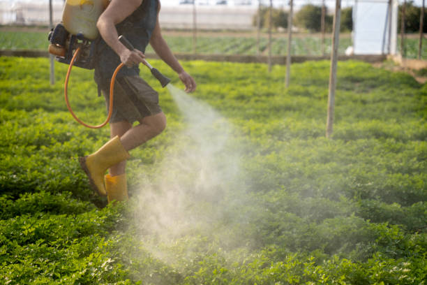 Best Emergency Pest Control  in Fort Gibson, OK
