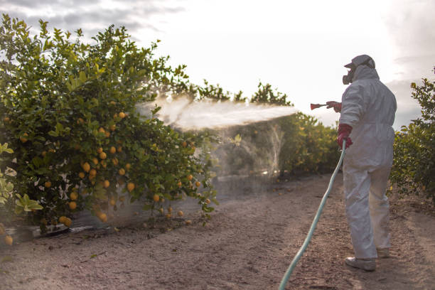 Best Best Pest Control Companies  in Fort Gibson, OK