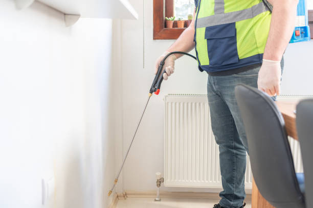 Best Ant Control Services  in Fort Gibson, OK