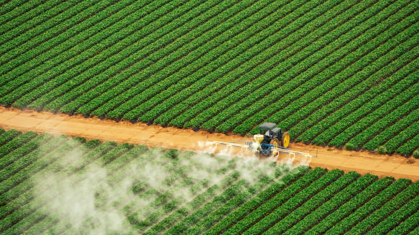 Best Pest Inspection Near Me  in Fort Gibson, OK
