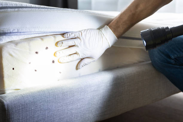 Best Flea Control Services  in Fort Gibson, OK