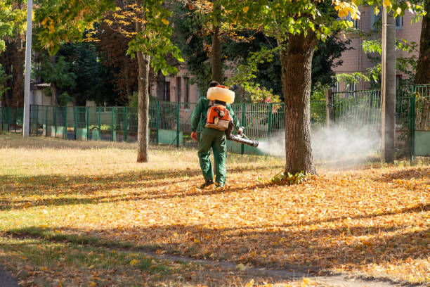 Best Pest Control Near Me  in Fort Gibson, OK